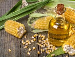 Кукурузное масло — жидкое «золото» для здоровья и красоты